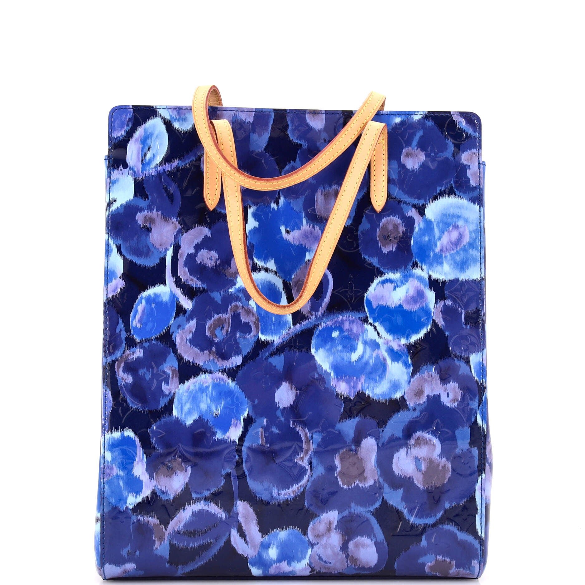 Catalina Handbag Limited Edition Monogram Vernis Ikat North South