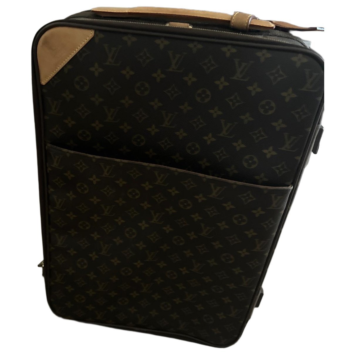 Pegase leather travel bag