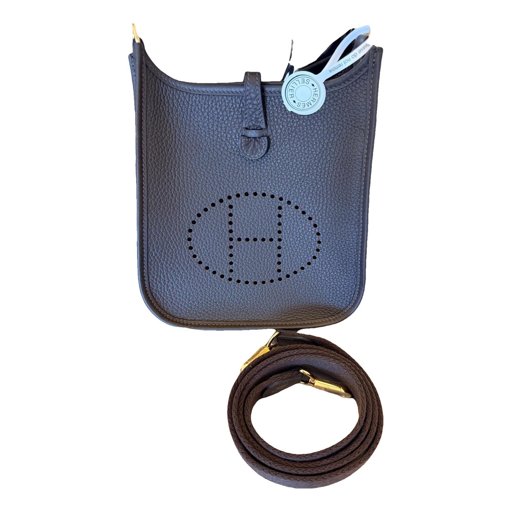 Mini Evelyne leather crossbody bag