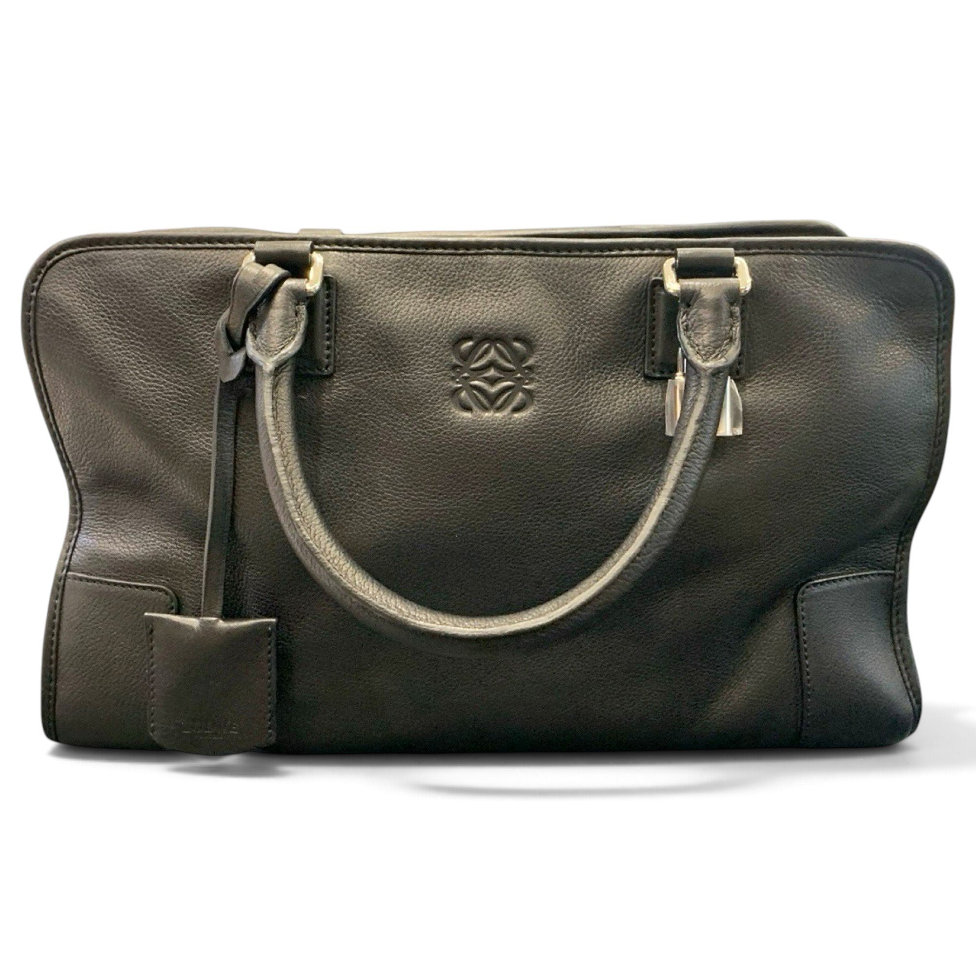 Amazona leather handbag