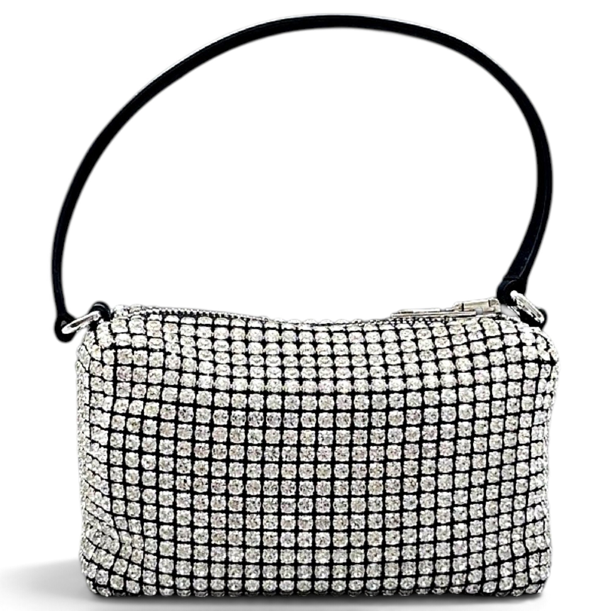 Alexander Wang Glitter handbag