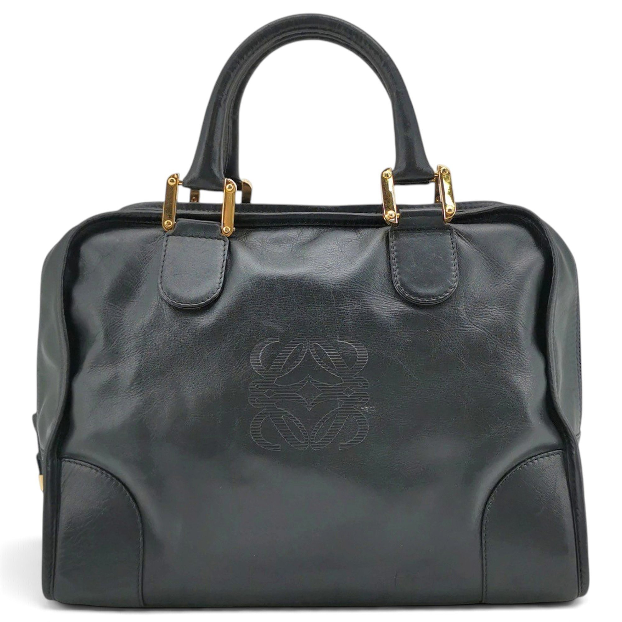 Amazona leather handbag