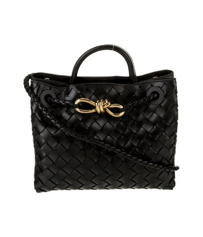 Bottega Veneta Veneta Intrecciato Andiamo Small