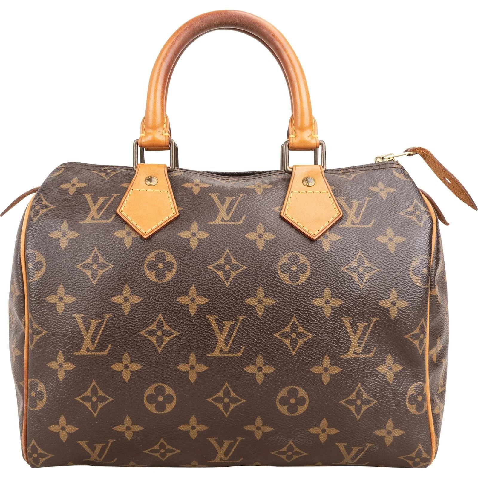 Louis Vuitton Speedy leather handbag