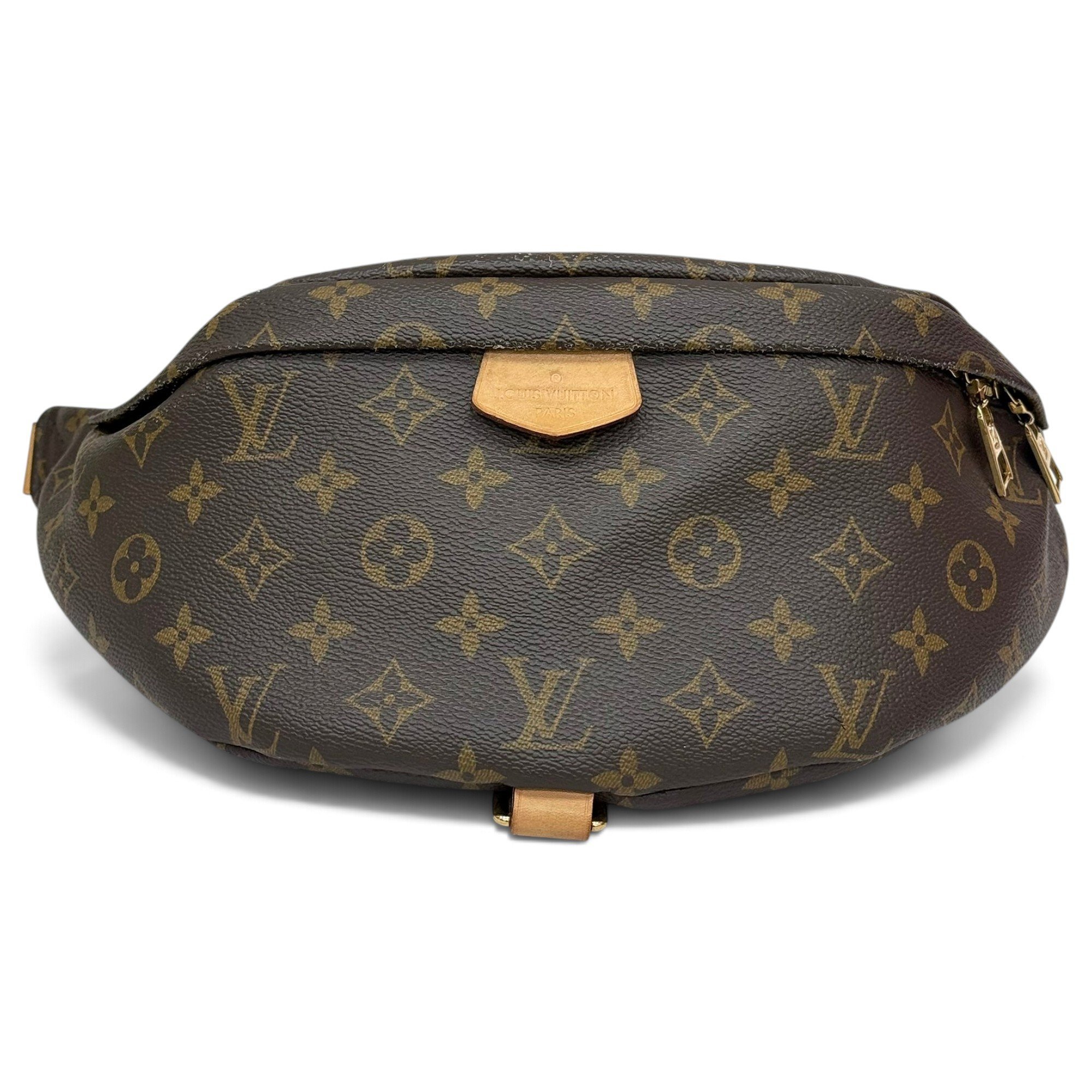 Bum Bag / Sac Ceinture leather handbag