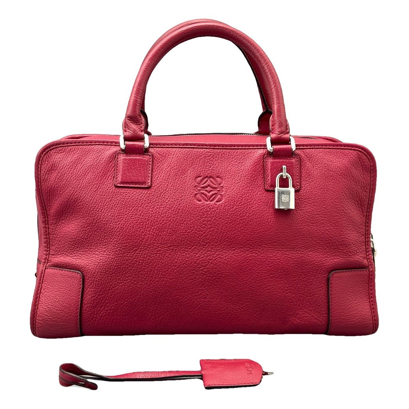Amazona leather handbag