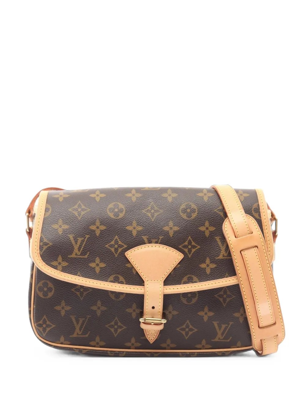 2009 Sologne Monogram canvas shoulder bag