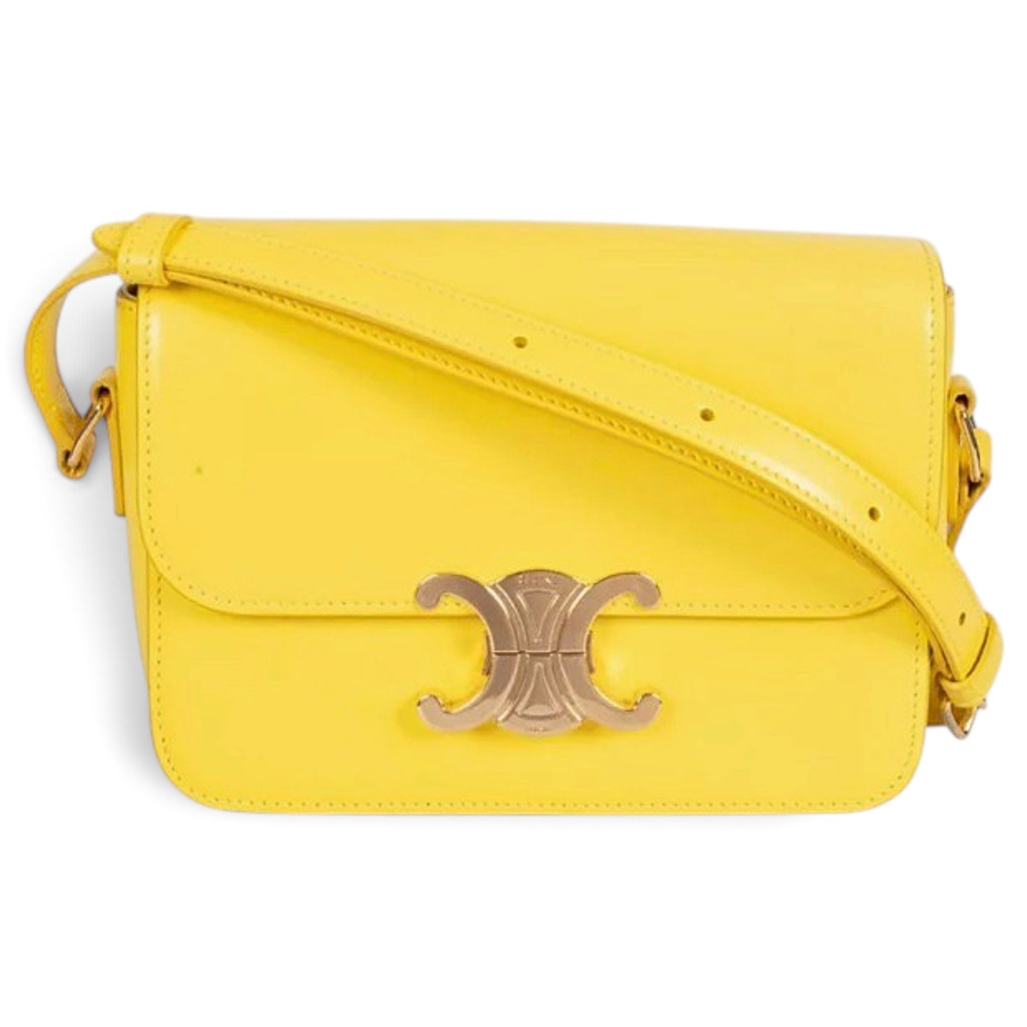 Triomphe leather handbag