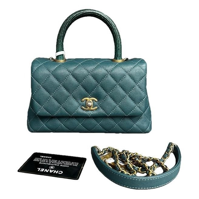 Coco Handle leather handbag