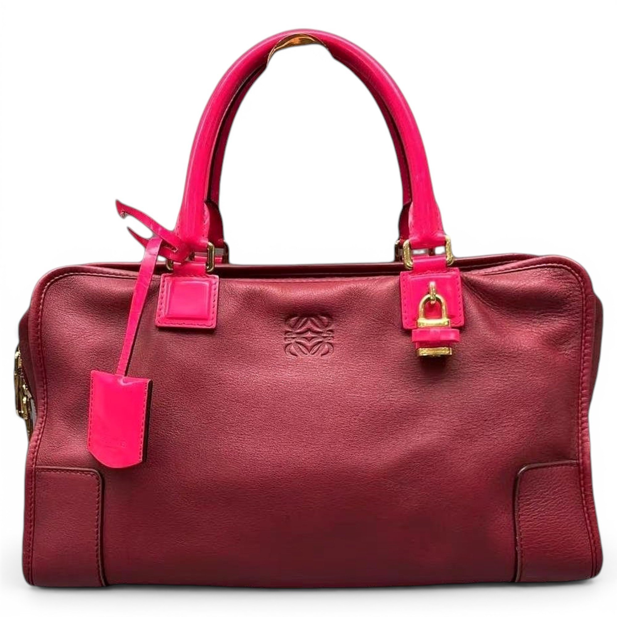 Amazona leather handbag
