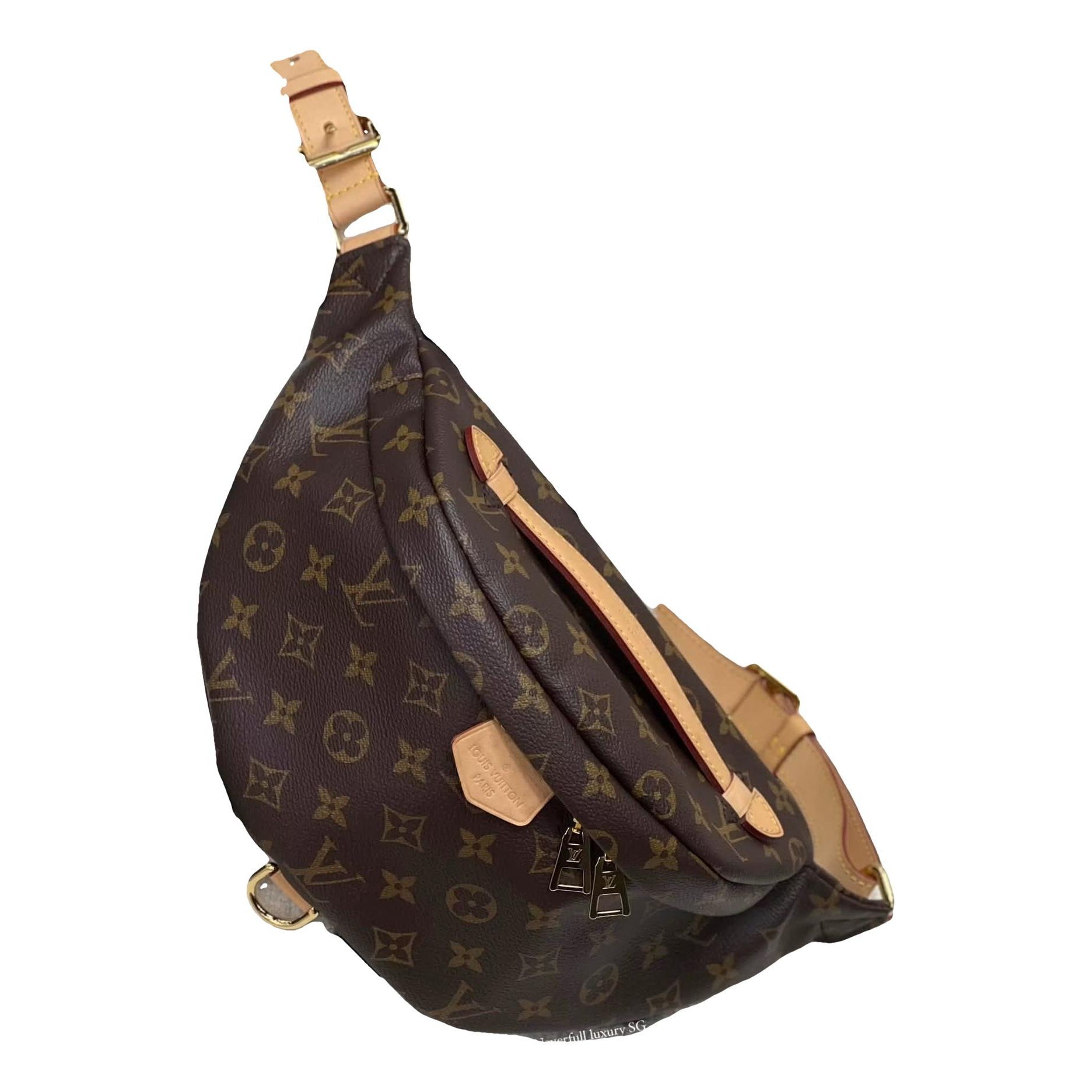 Louis Vuitton Bum Bag / Sac Ceinture leather crossbody bag