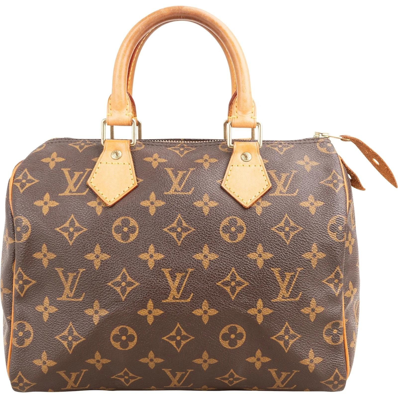 Speedy leather handbag