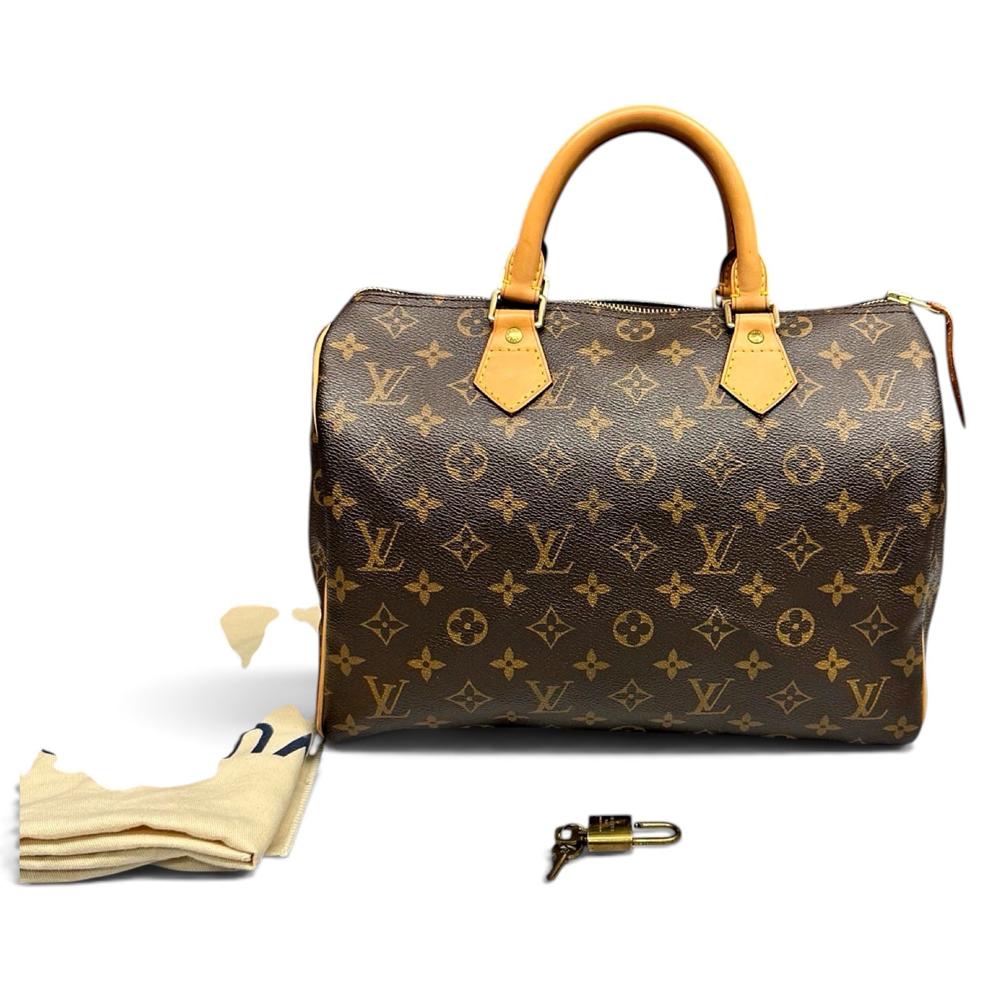 Louis Vuitton Speedy leather handbag