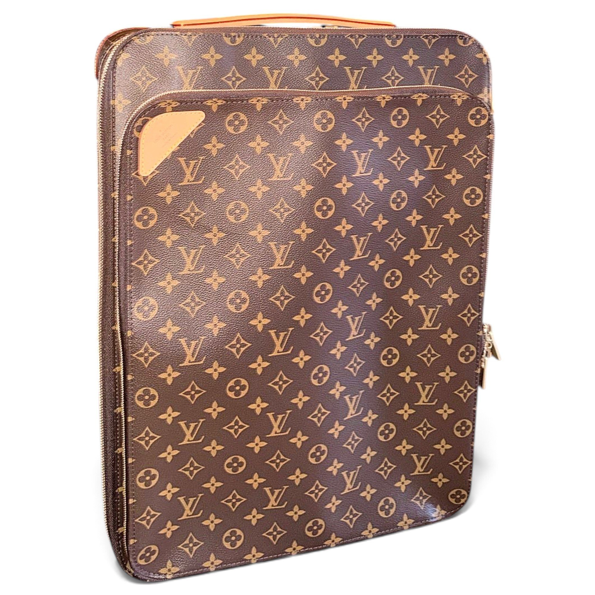 Pegase leather travel bag