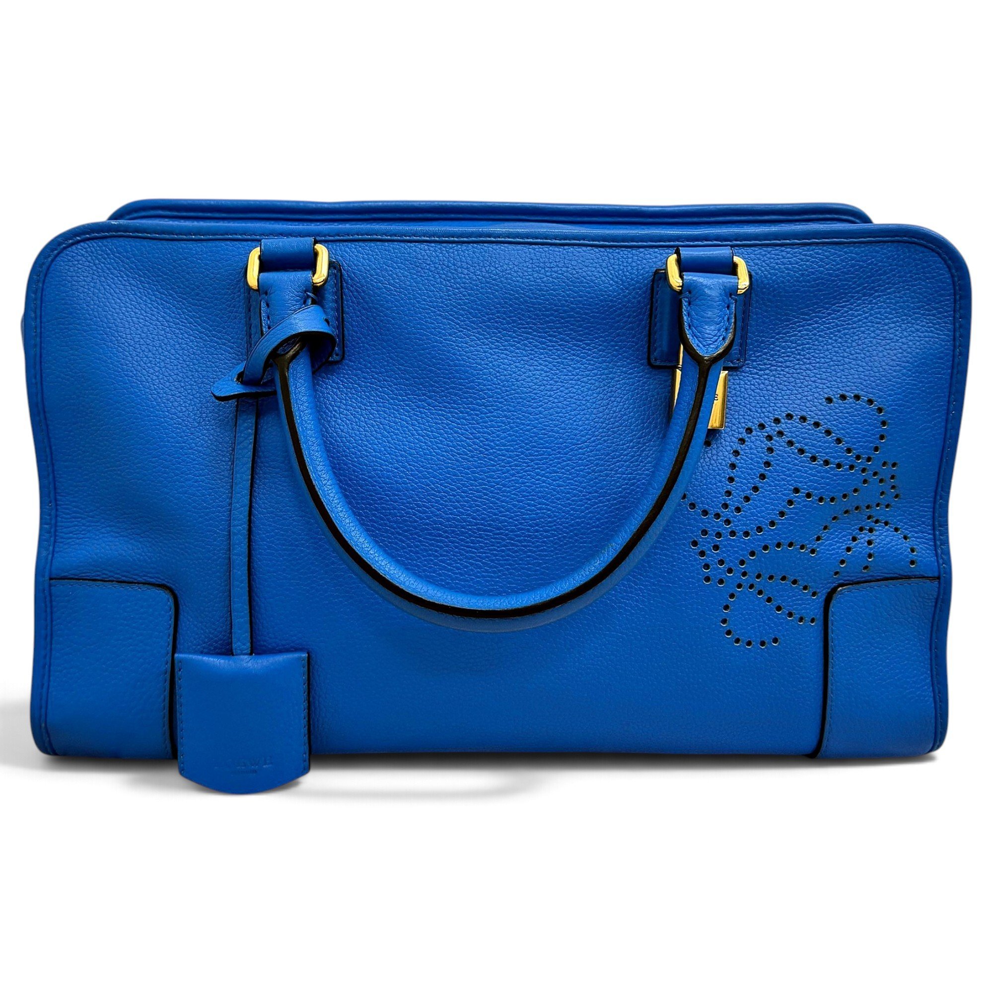 Amazona leather handbag