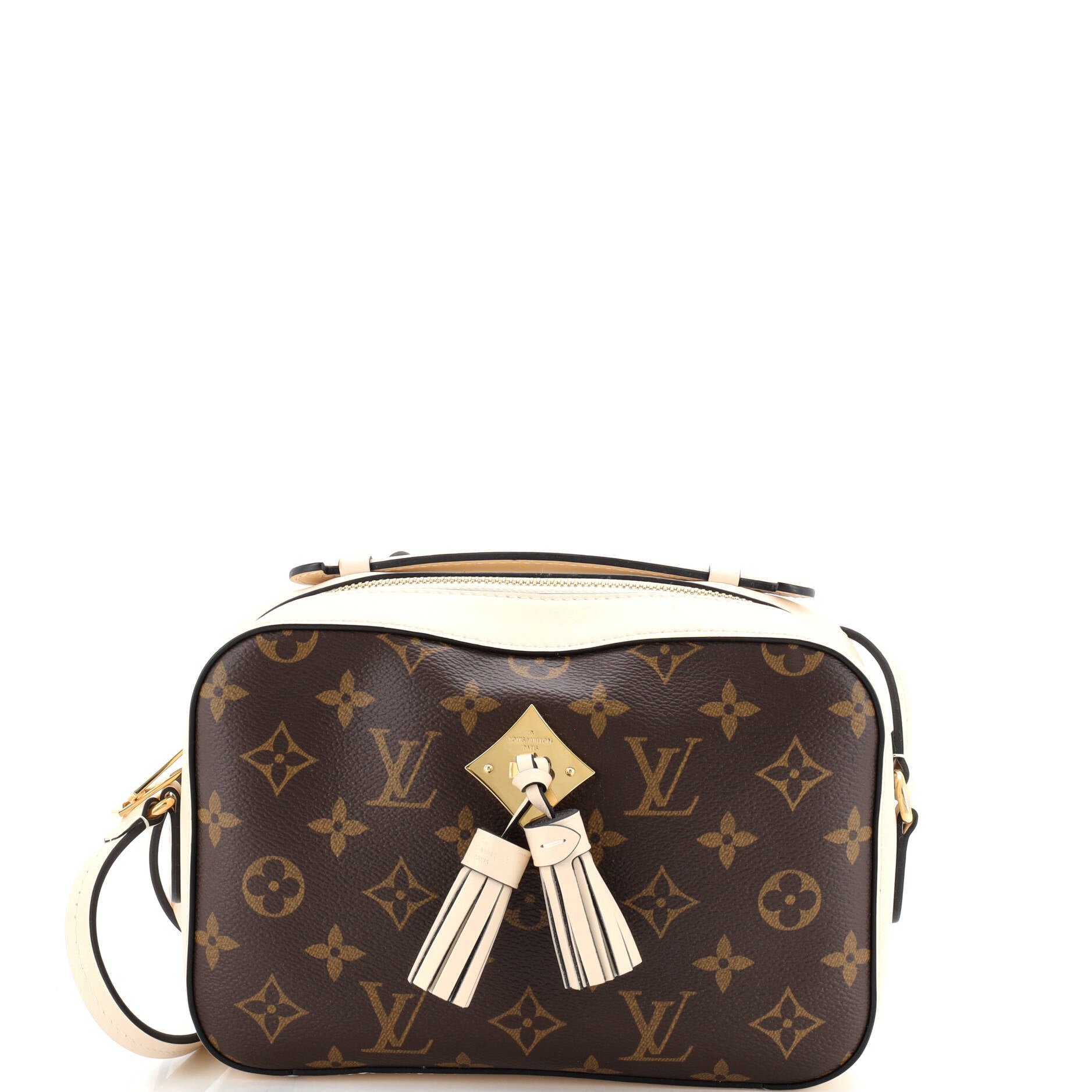 Saintonge Handbag Monogram Canvas with Leather