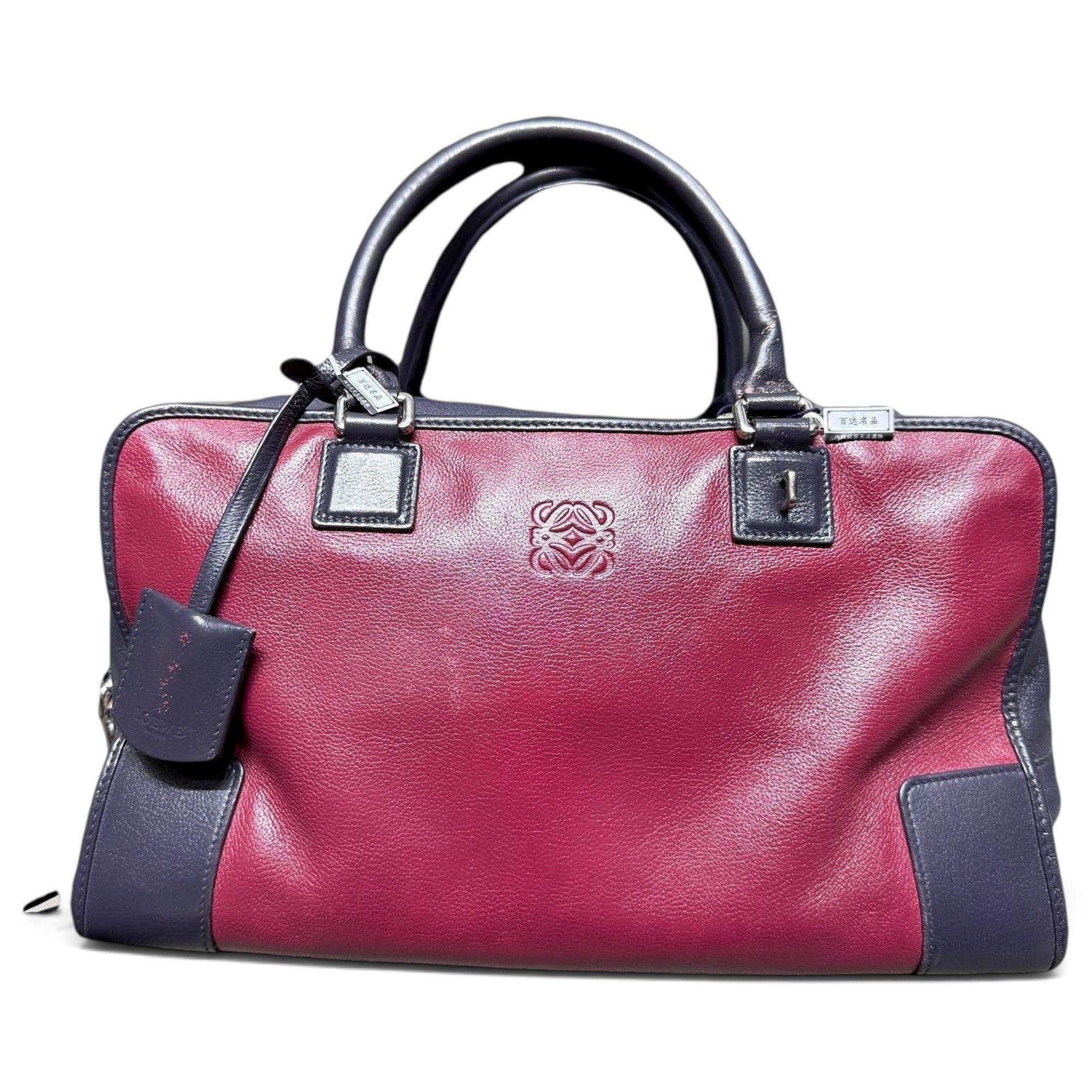 Amazona leather handbag