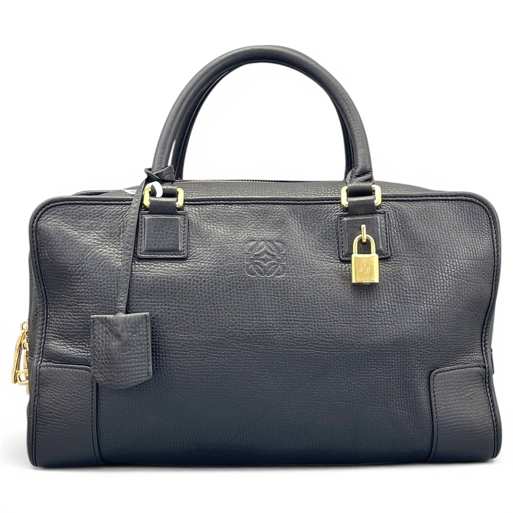 Amazona leather handbag