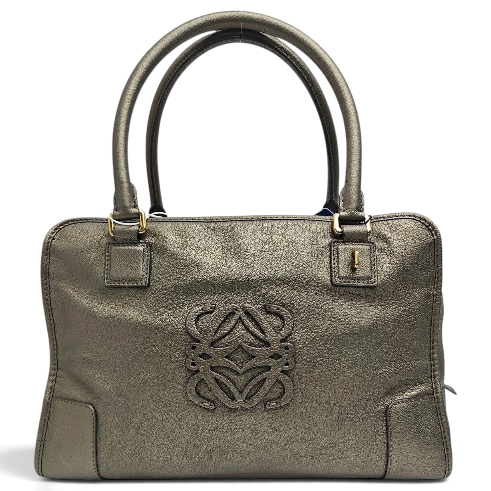 Amazona leather handbag