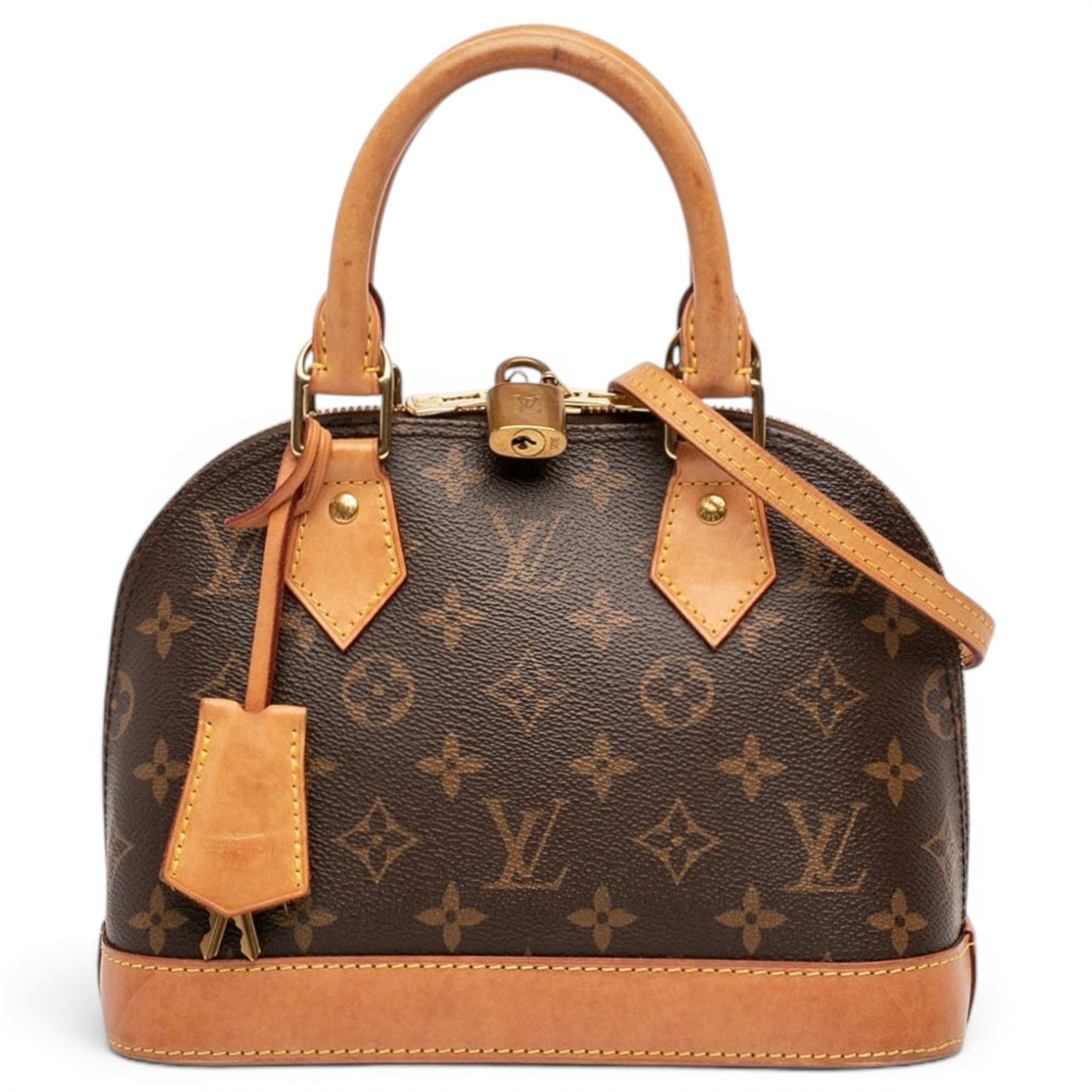 Louis Vuitton Pochette Accessoire leather handbag