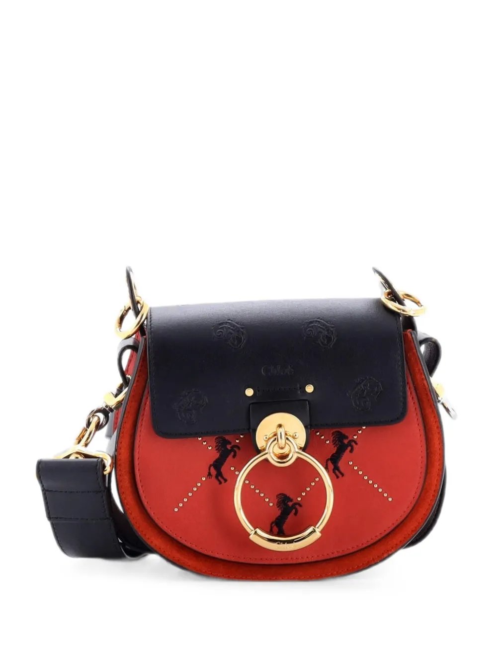 Tess Bag Embroidered Leather Small crossbody bag