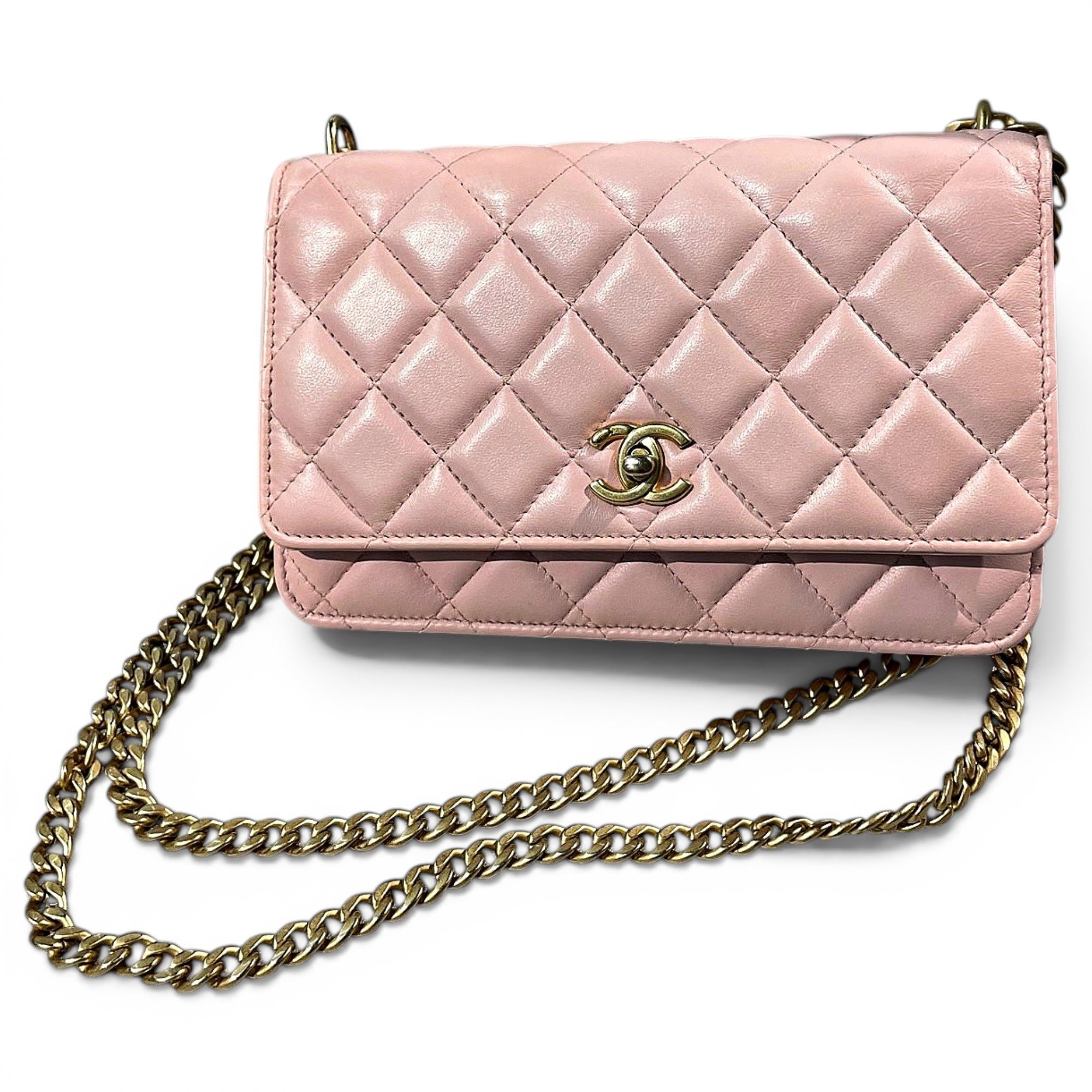 Wallet On Chain Timeless/Classique leather handbag