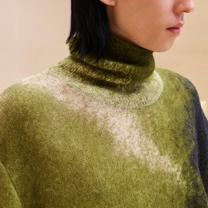 Anis "Reflets Equestres" Turtleneck Sweater