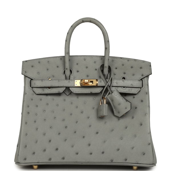 Hermes Birkin 25 Bleu Glacier Ostrich Gold Hardware