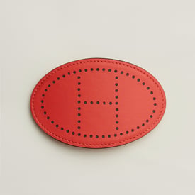 Evelyne Gm Hair Clip