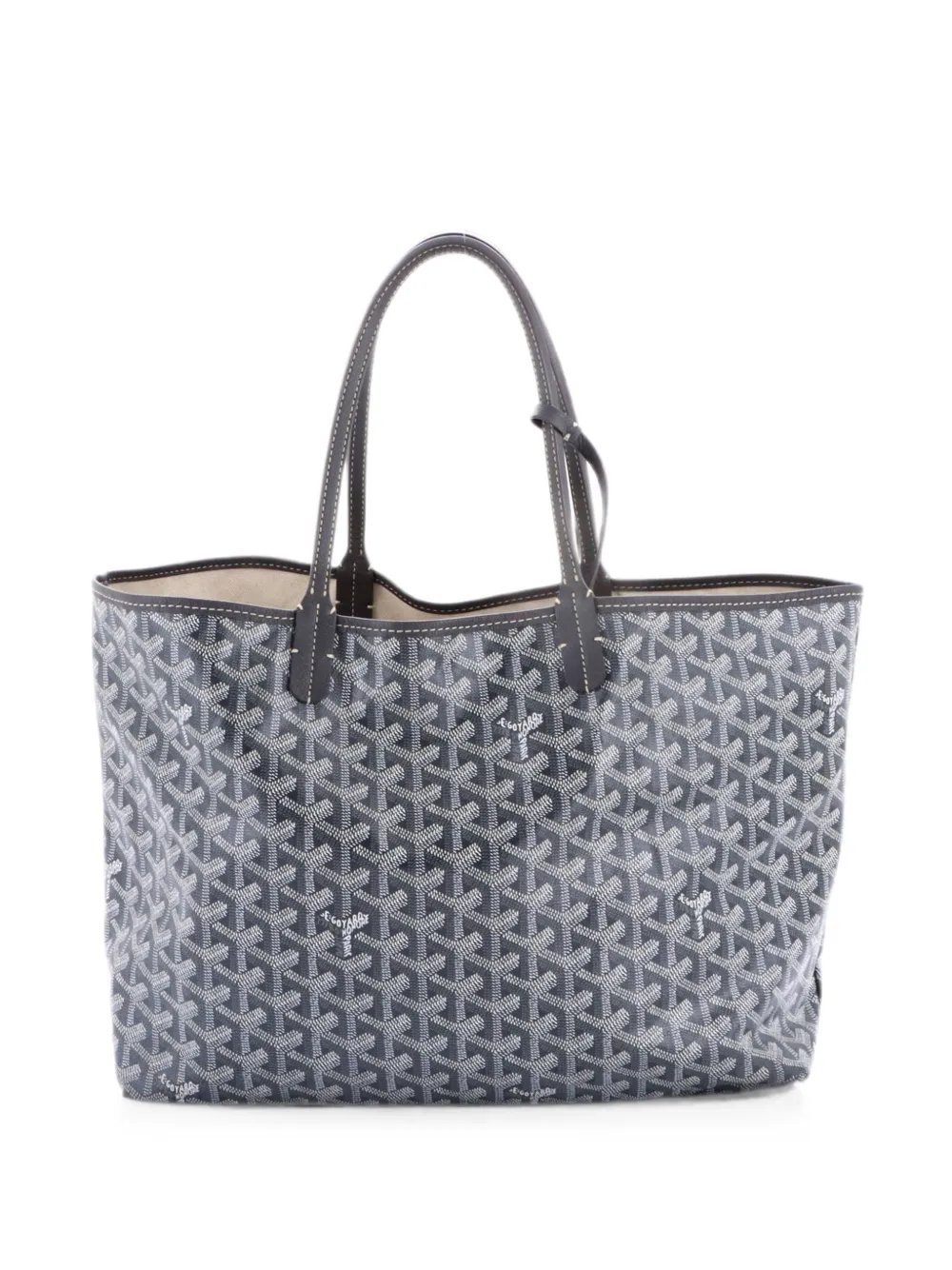 Saint Louis Coated Canvas PM tote bag