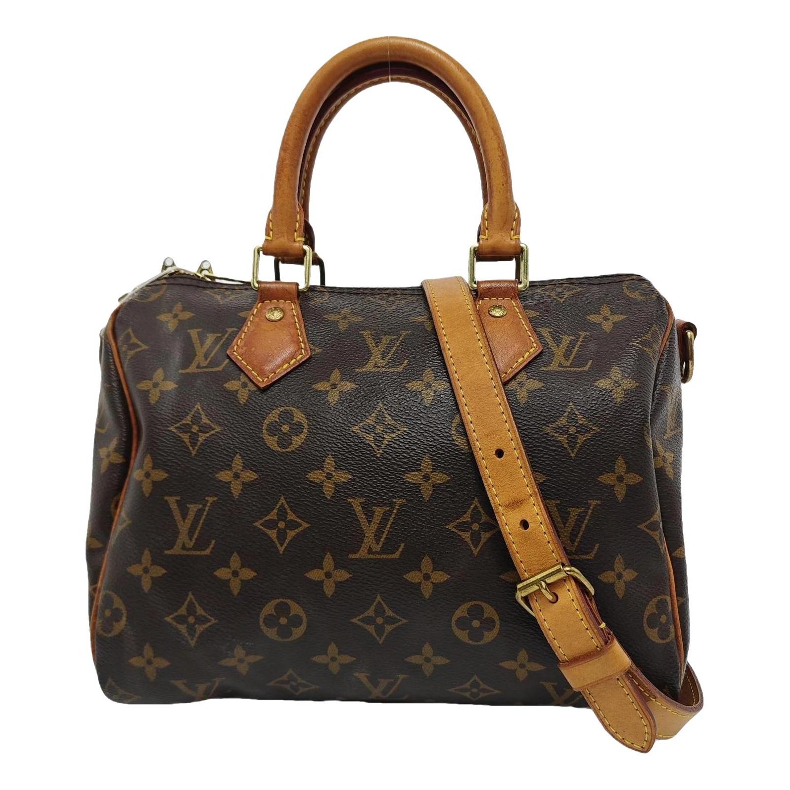 Louis Vuitton Speedy cloth bag