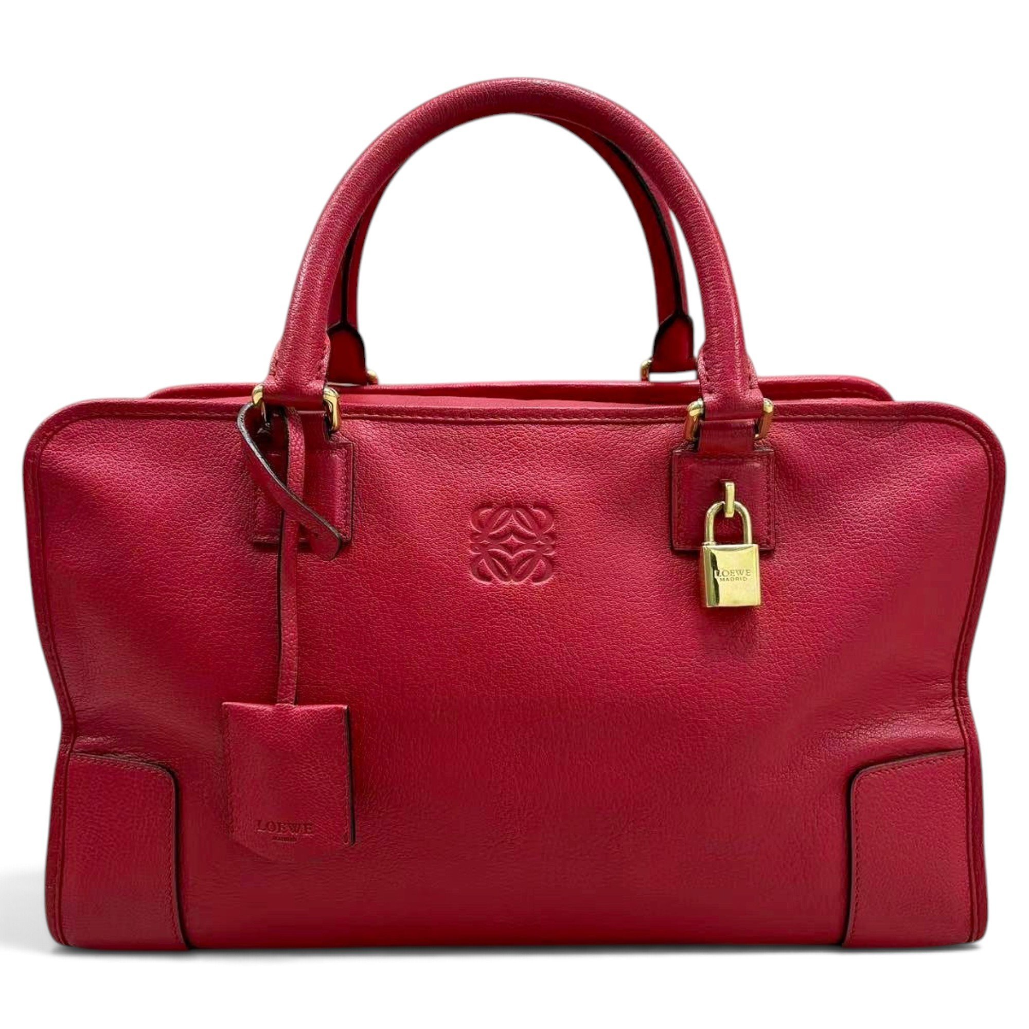 Amazona leather handbag