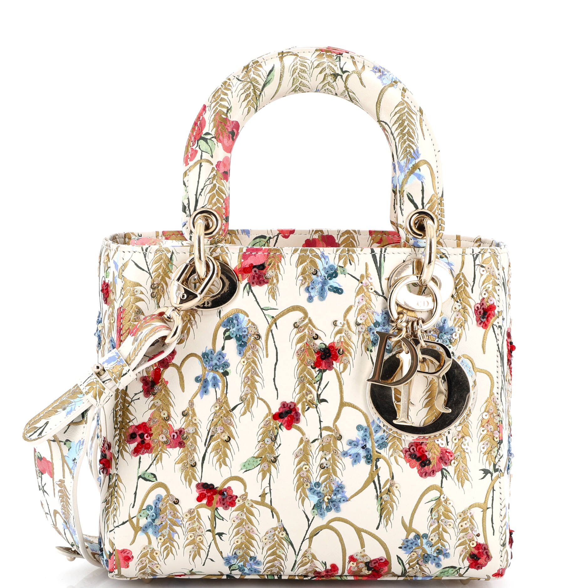 My ABCDior Lady Dior Bag Embroidered Printed Leather
