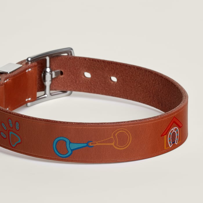 Dark Irish Polisson Dog Collar