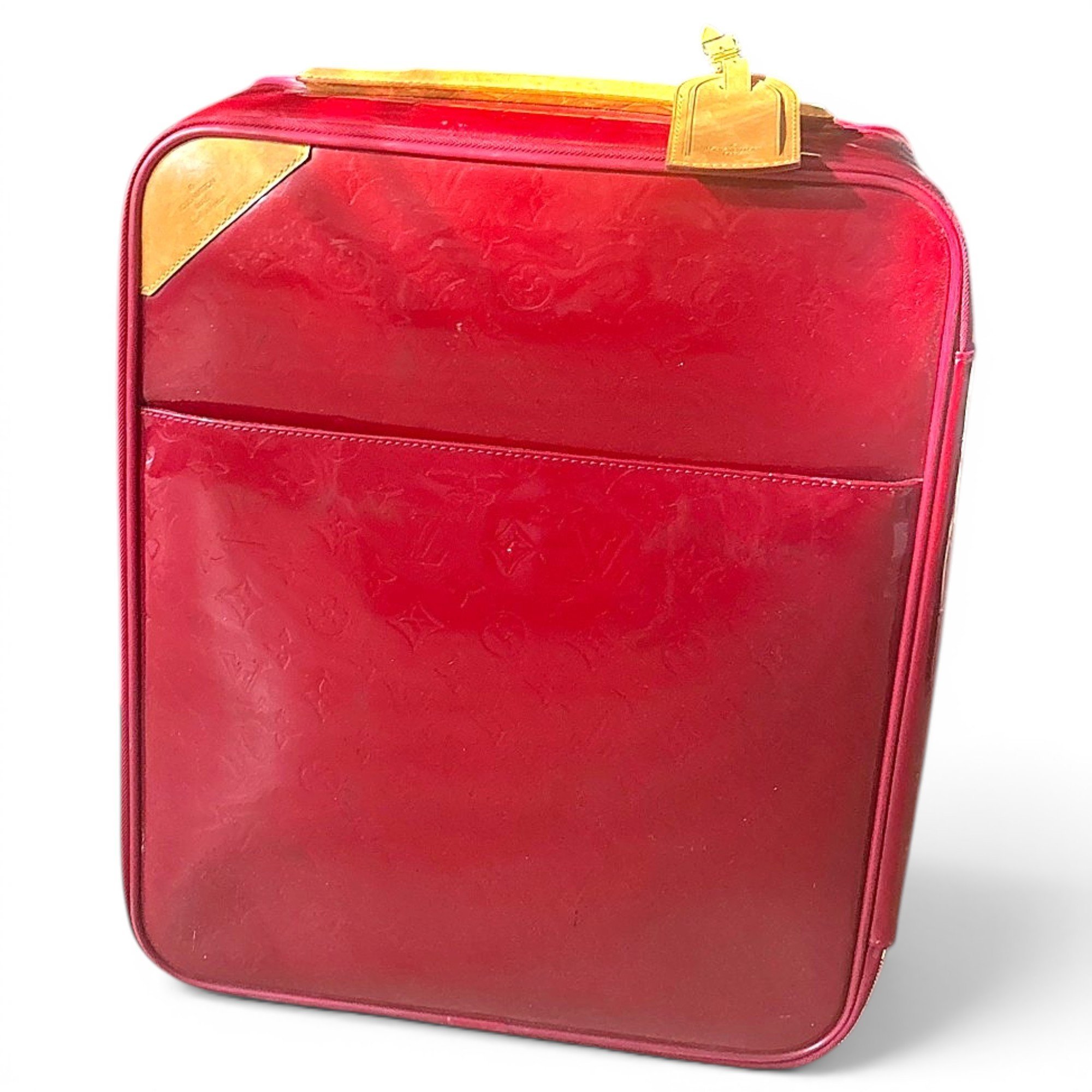Pegase leather travel bag