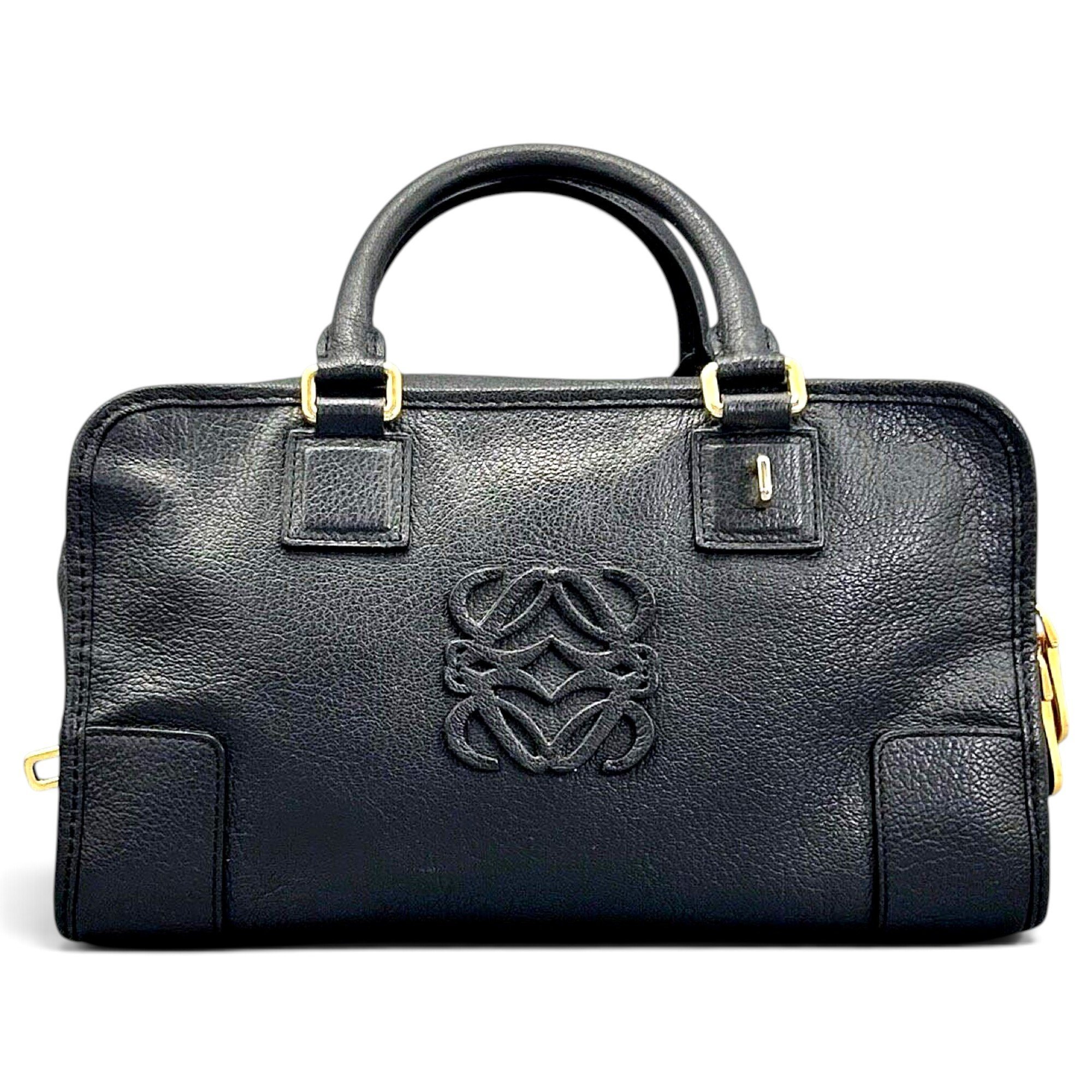 Amazona leather handbag