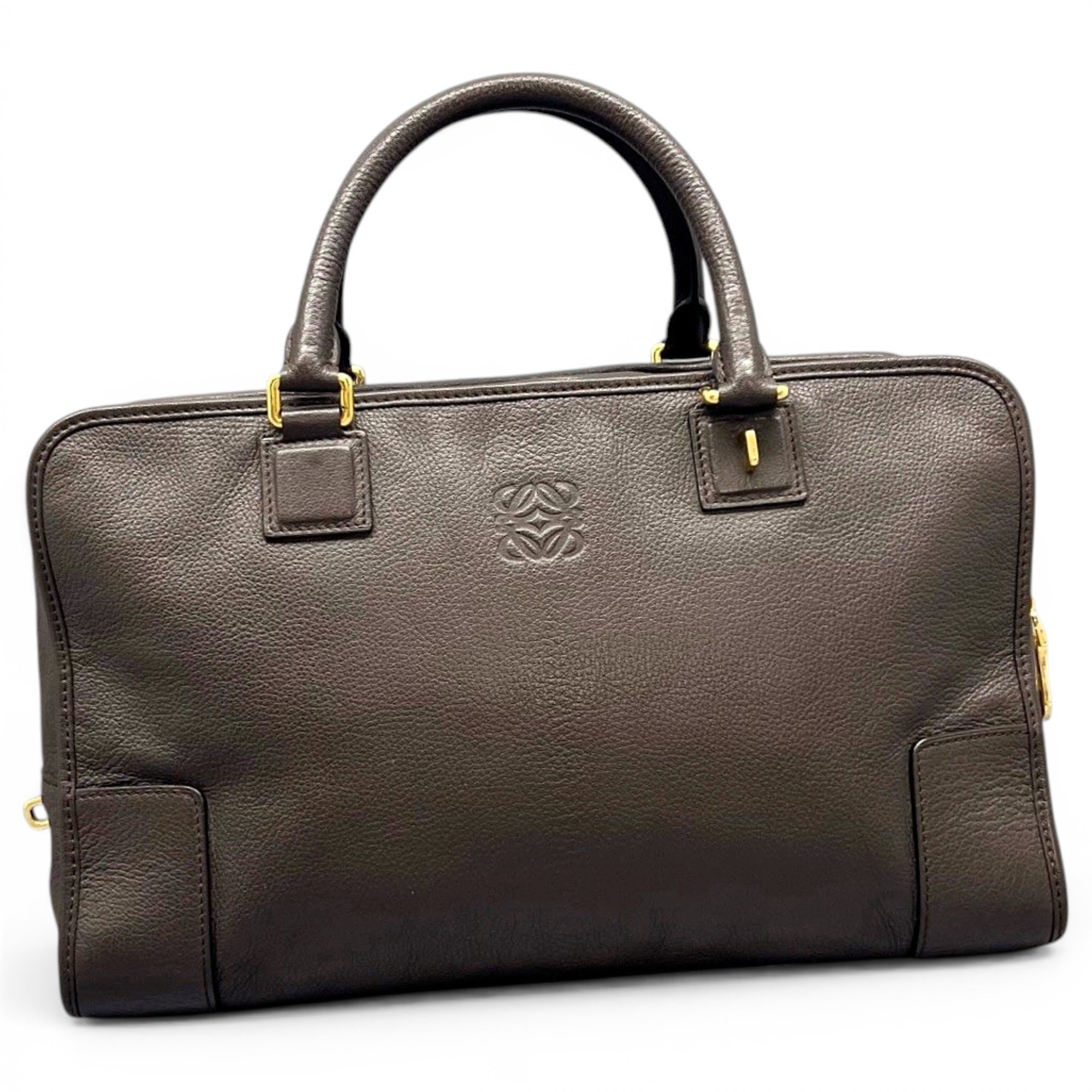 Amazona leather handbag