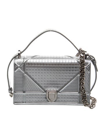Leather Diorama Bag