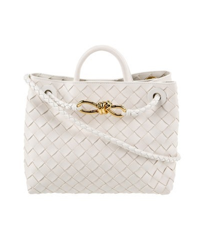 Bottega Veneta Veneta Intrecciato Andiamo Small