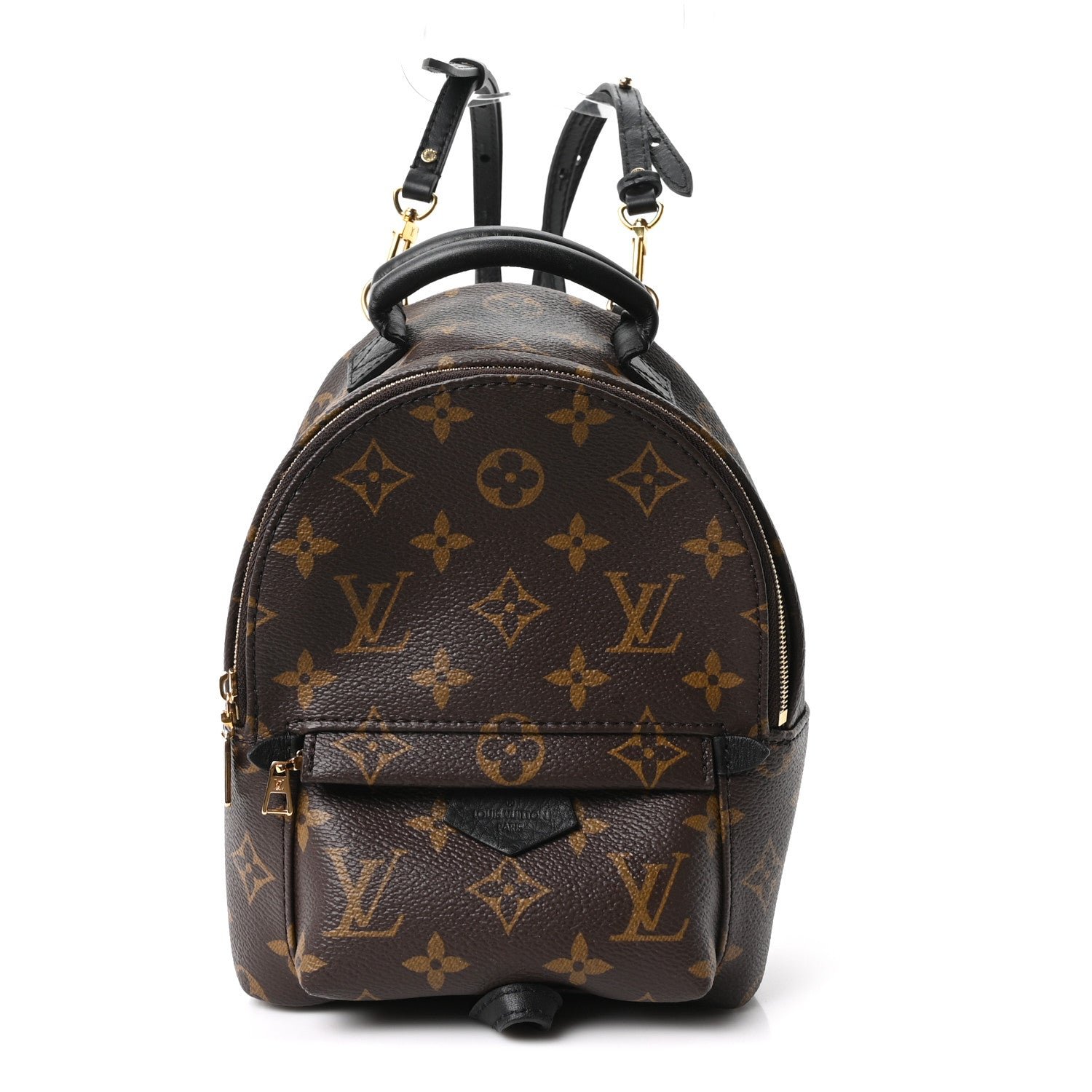 Louis Vuitton Monogram Palm Springs Backpack Mini
