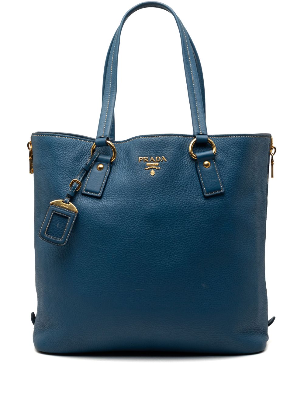 2000-2026 Vitello Daino Side Zip Shopper tote bag