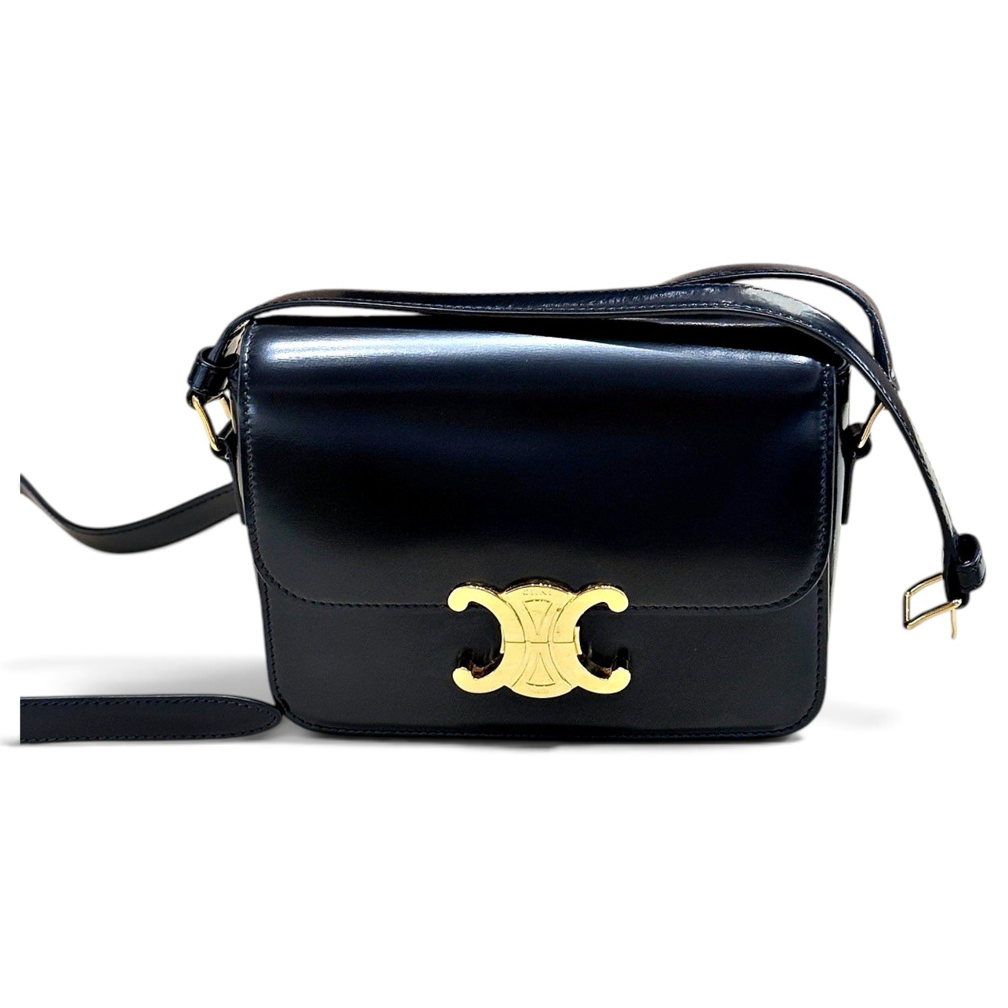 Triomphe leather handbag