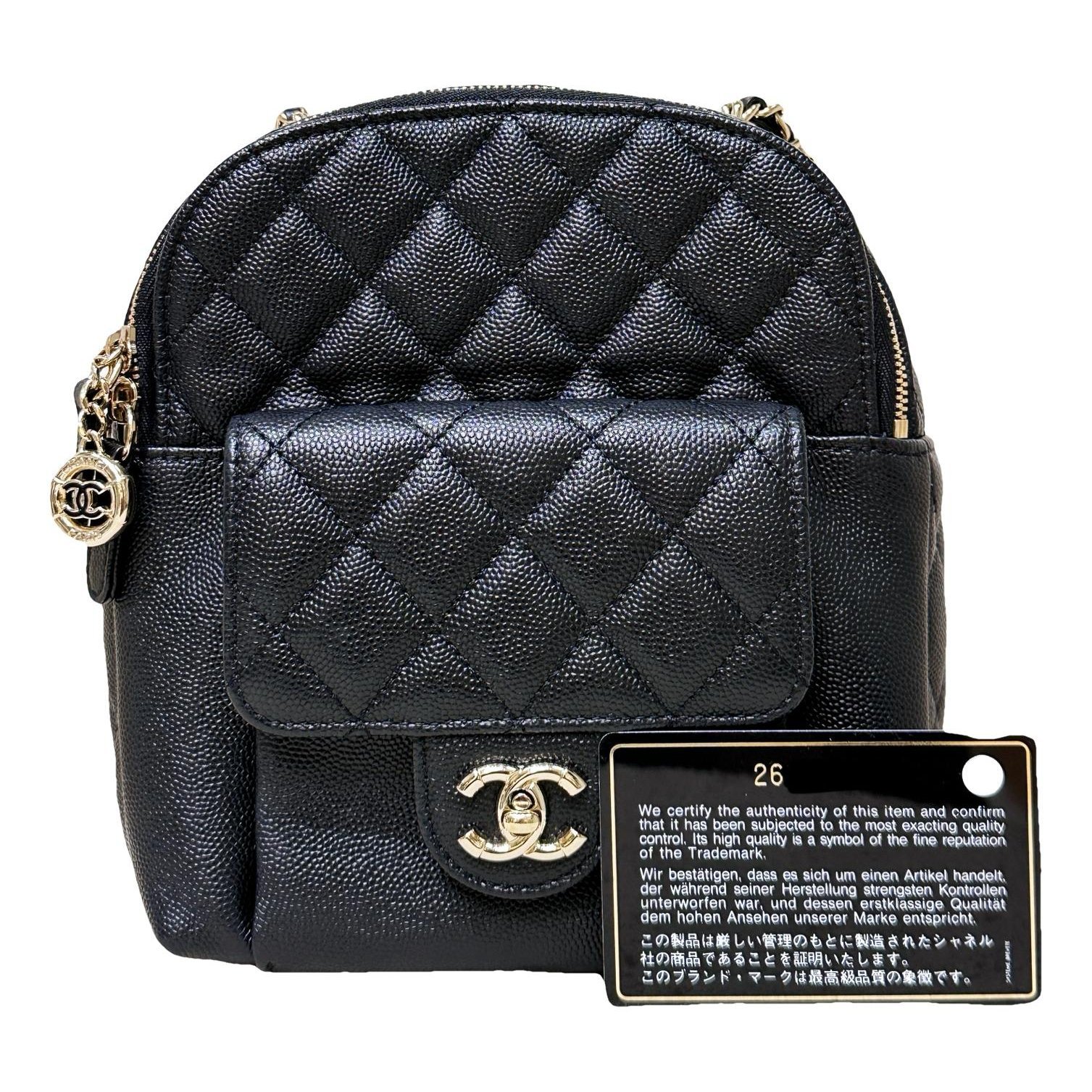 Leather backpack