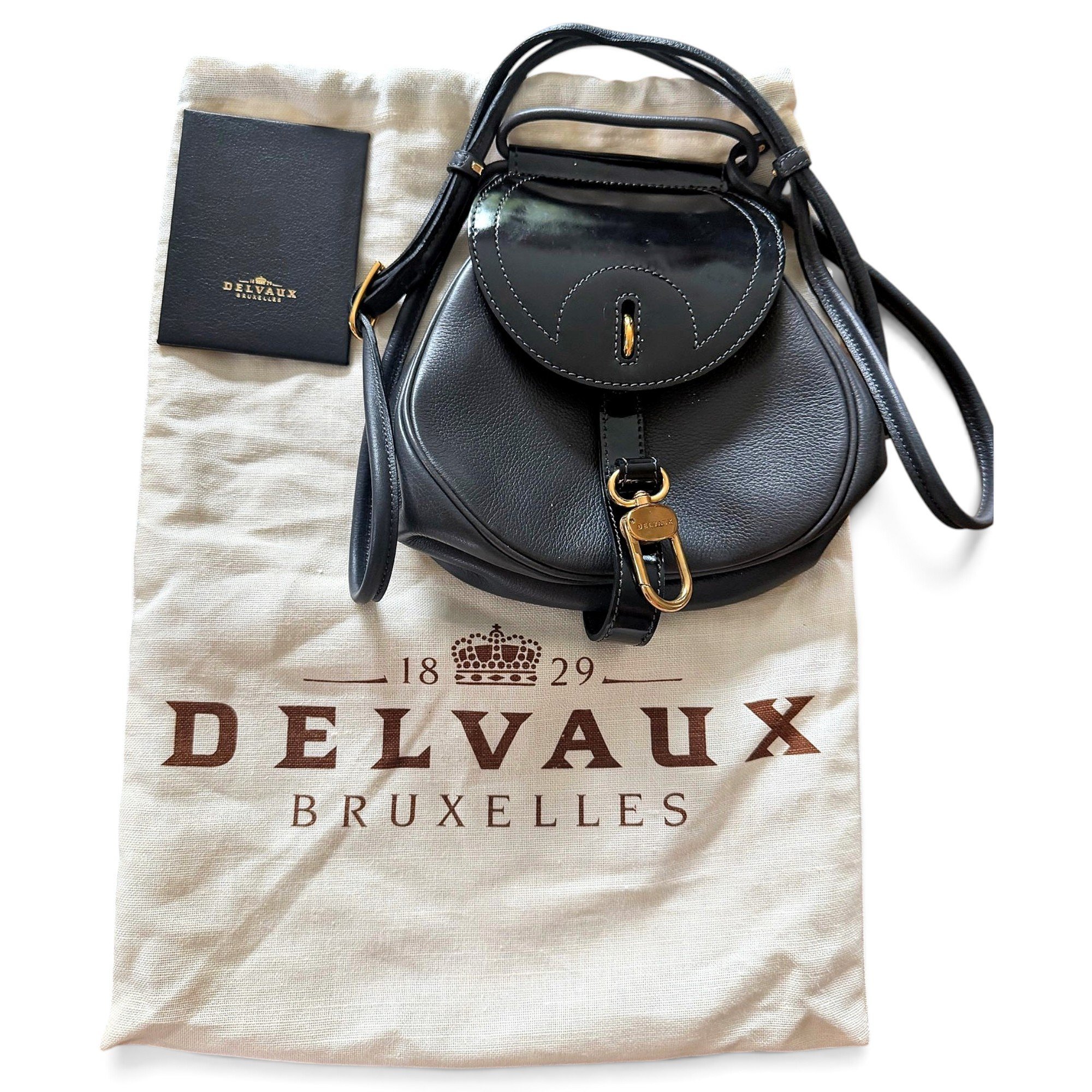 Delvaux Gin Fizz leather crossbody bag