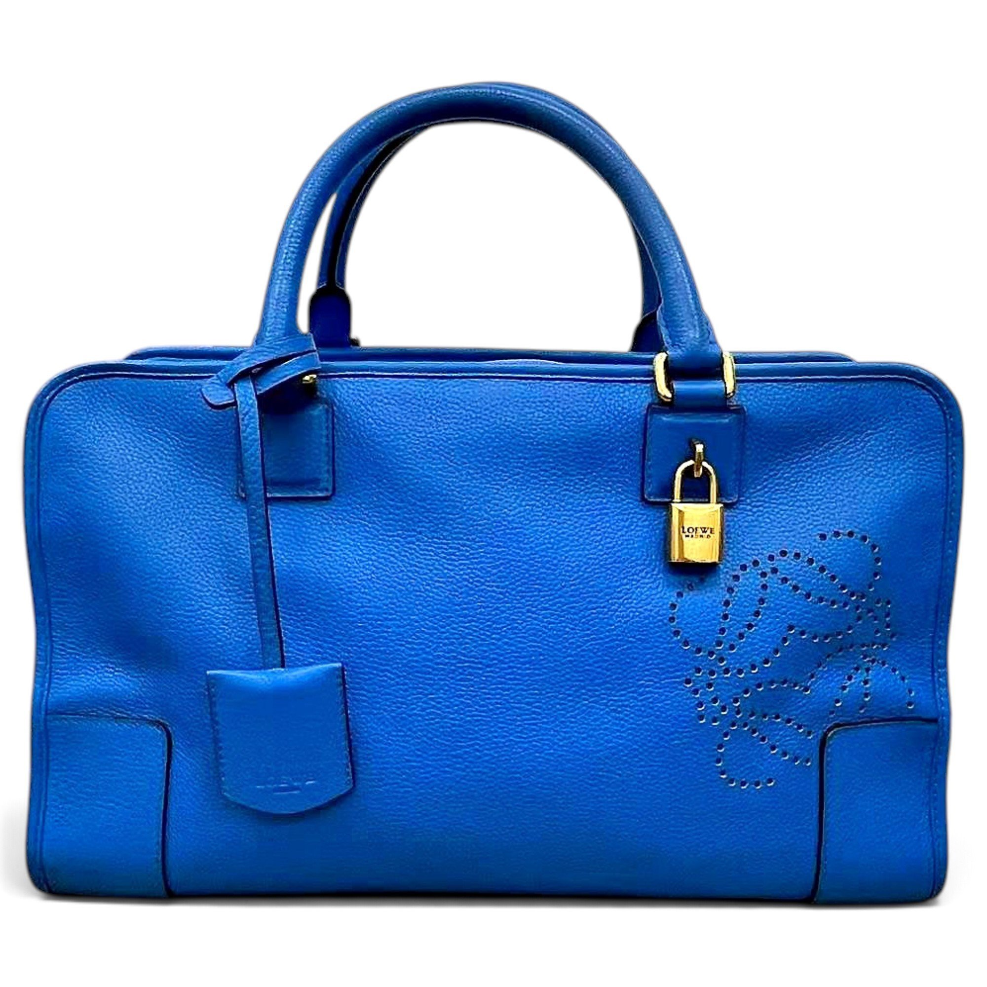 Amazona leather handbag