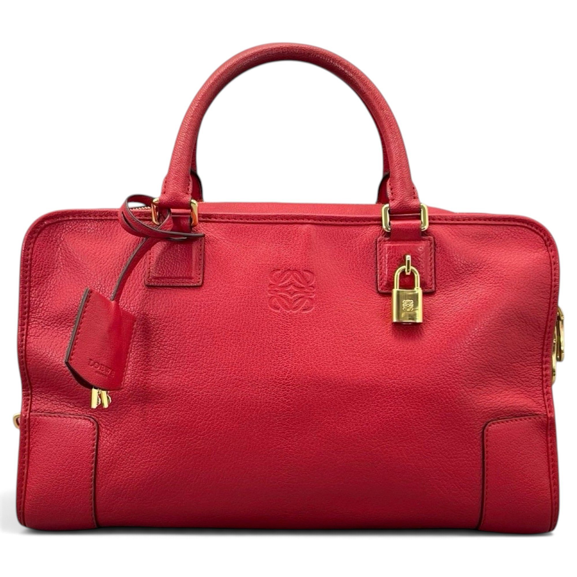 Amazona leather handbag