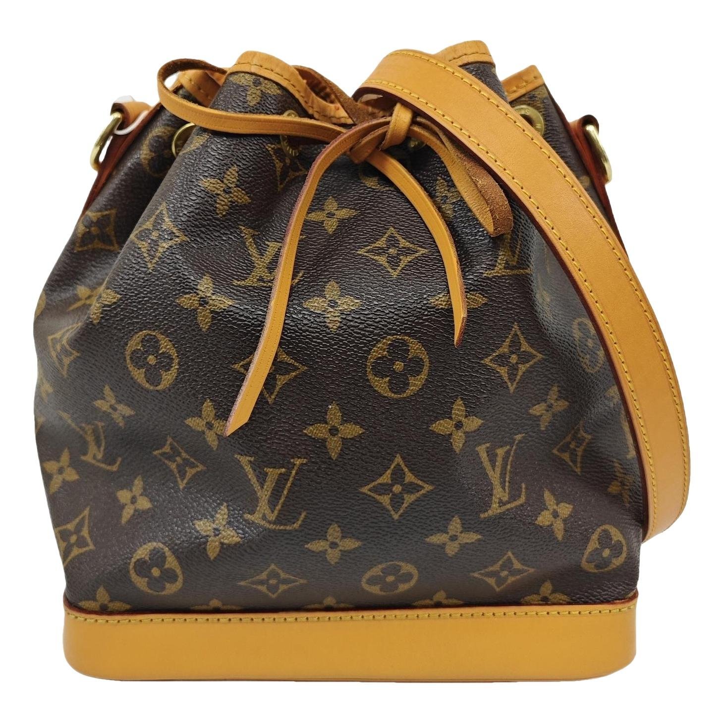 Nano Noé leather handbag