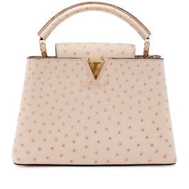 Louis Vuitton Rose Poudre Ostrich Capucines BB Gold Hardware, 2020