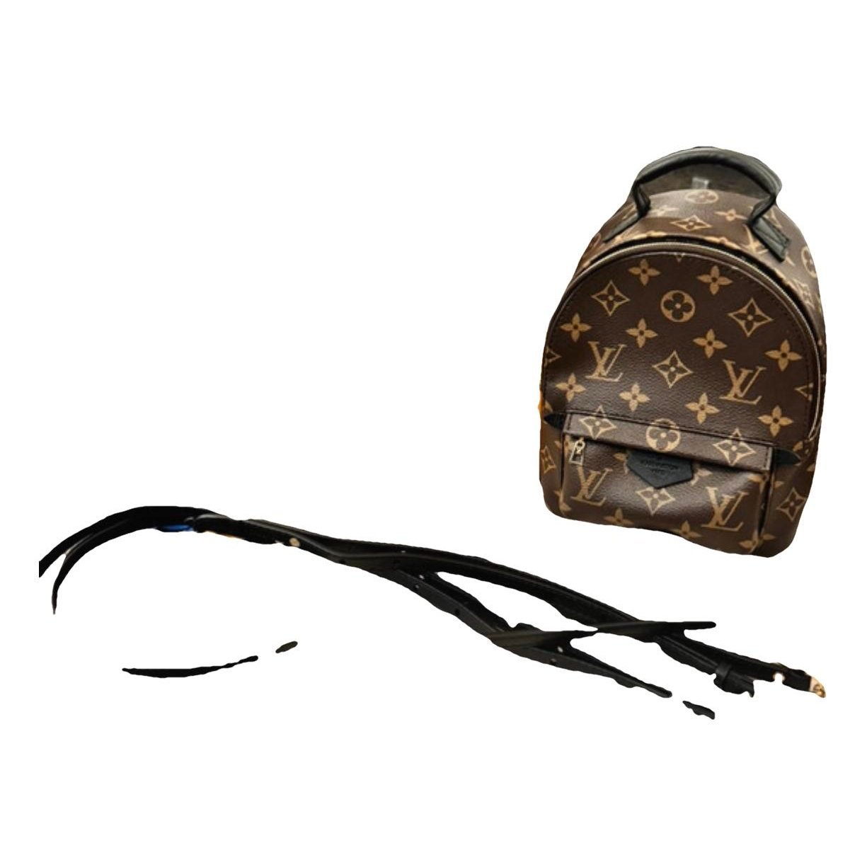 Palm Springs backpack