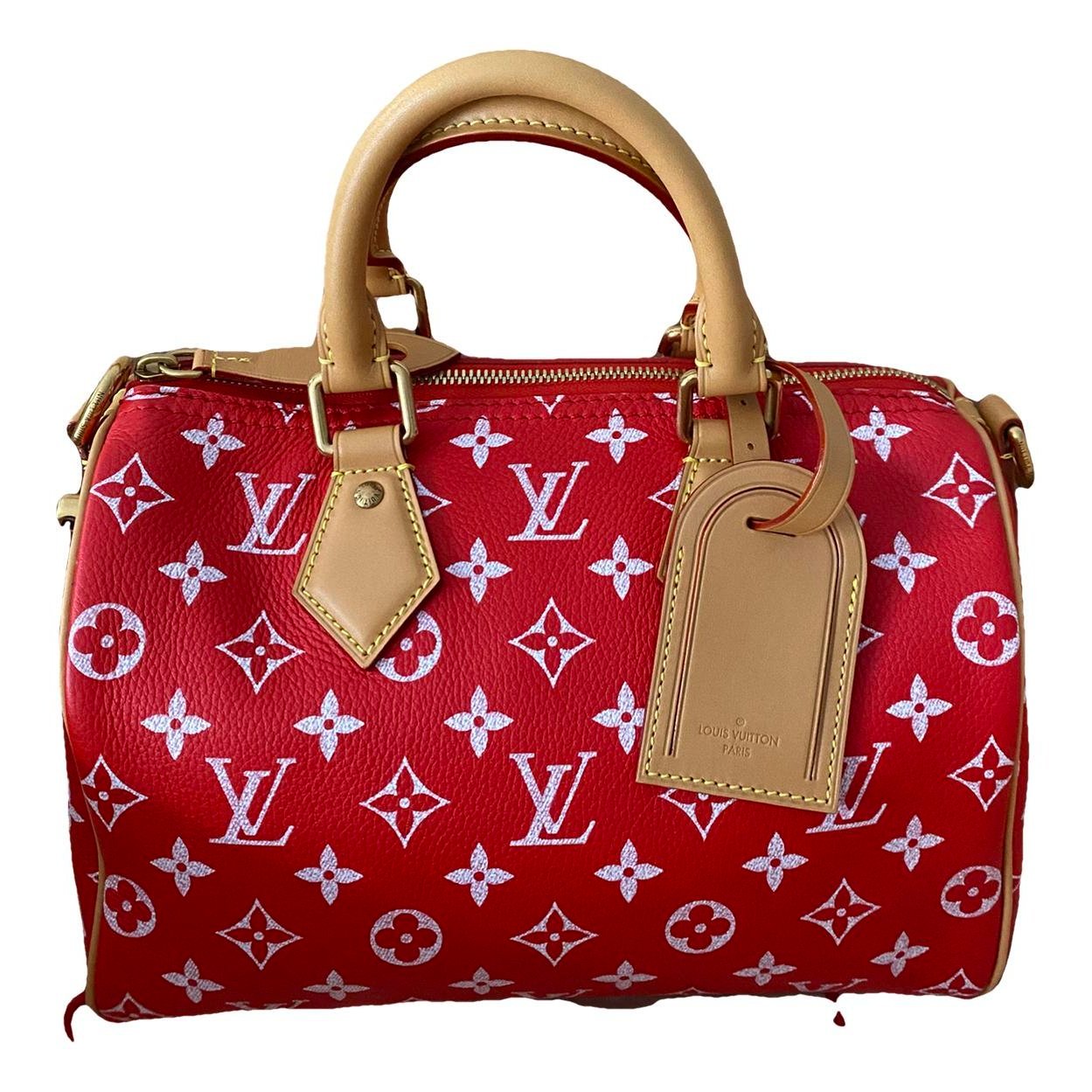 Louis Vuitton Speedy leather handbag